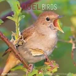 Calendario 2024 Birds cm 30x30
