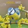 Calendario 2025 Birds cm 30x30