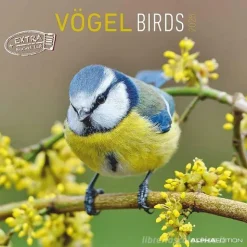 Calendario 2025 Birds cm 30x30