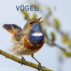Calendario 2022 Birds 30x30