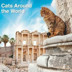 Calendario 2024 Cats Around the World cm 30x30