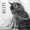 Calendario 2016 Cats By Sabine Rath