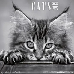 Calendario 2019 Cats by Sabine Rath 30x30 cm