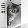 Calendario 2020 Cats by Sabine Rath 30x30 cm