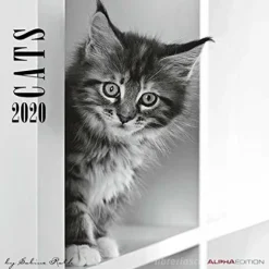 Calendario 2020 Cats by Sabine Rath 30x30 cm