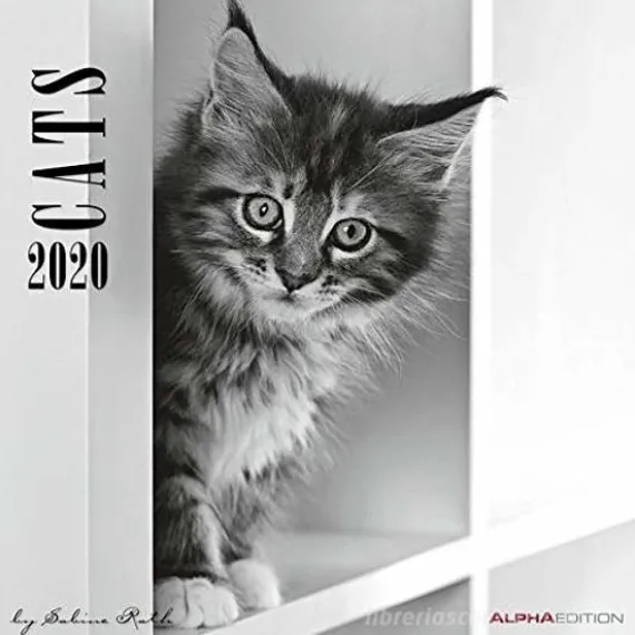 Calendario 2020 Cats by Sabine Rath 30x30 cm