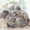 Calendario 2025 Cats cm 30x30
