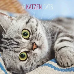 Calendario 2024 Cats cm 30x30