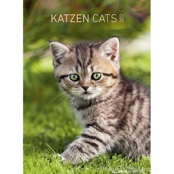 Calendario 2022 Cats 23,7x34