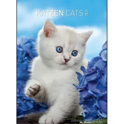 Calendario 2023 Cats 23,7x34