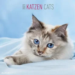 Calendario 2023 Cats 30x30