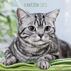 Calendario 2021 Cats 30x30