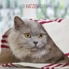 Calendario 2022 Cats 30x30