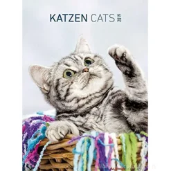 Calendario 2019 Cats 24x34 cm
