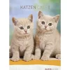 Calendario 2020 Cats 23,7x34 cm