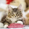 Calendario 2019 Cats 30x30 cm