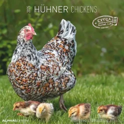 Calendario 2025 Chickens cm 30x30