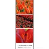 Calendario 2023 Colours of Nature 25x69