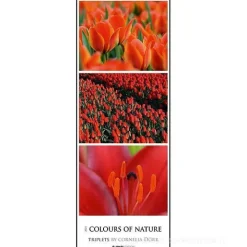 Calendario 2023 Colours of Nature 25x69