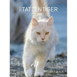 Calendario 2022 Curious Cats 29,7x42