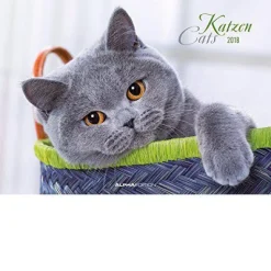 Calendario da muro Gatti 2018