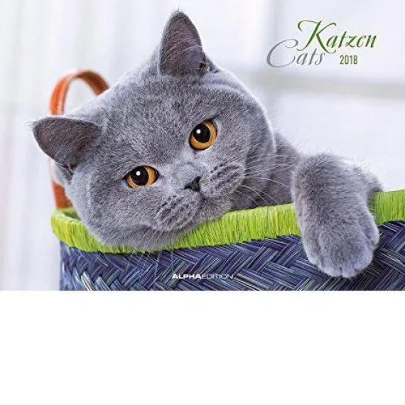 Calendario da muro Gatti 2018