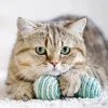 Calendario da muro Gatti 2018