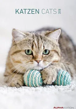 Calendario da muro Gatti 2018
