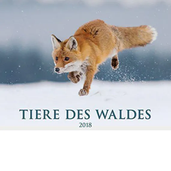 Calendario da muro Gli animali del bosco 2018