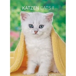 Calendario da parete 2024 Cats cm 23,7x34