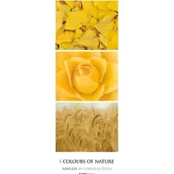 Calendario da parete 2024 Colours of Nature cm 25x69