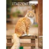 Calendario da parete 2025 Curious Cats cm 29,7x42