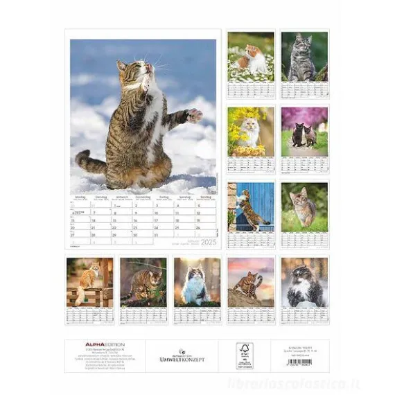 Calendario da parete 2025 Curious Cats cm 29,7x42