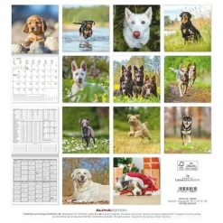 Calendario 2025 Dogs cm 30x30