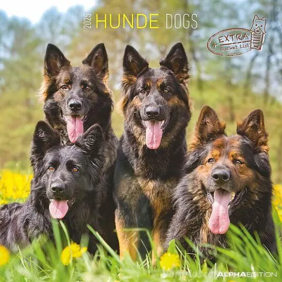 Calendario 2025 Dogs cm 30x30