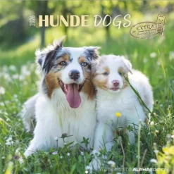 Calendario 2026 Dogs cm 30x30