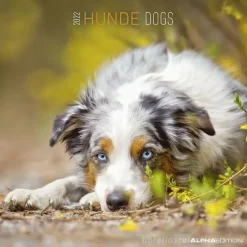 Calendario 2022 Dogs 30x30