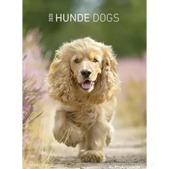 Calendario 2020 Dogs 23,7x34 cm