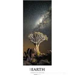 Calendario 2019 Earth 25x69 cm