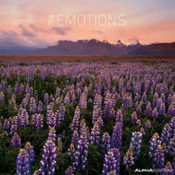 Calendario 2016 Emotions 206