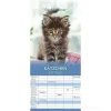 Calendario 2024 Family Planner Kittens cm 19,5x45