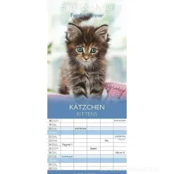 Calendario 2024 Family Planner Kittens cm 19,5x45