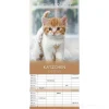 Calendario 2022 Family Planner Kittens 19,5x45