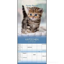 Calendario 2023 Family Planner Kittens 19,5x45