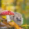 Calendario 2024 Forest Animals cm 30x30