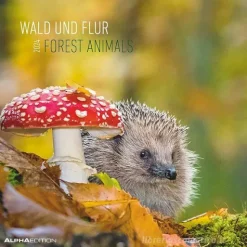Calendario 2024 Forest Animals cm 30x30