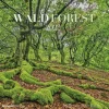Calendario 2022 Forest 30x30