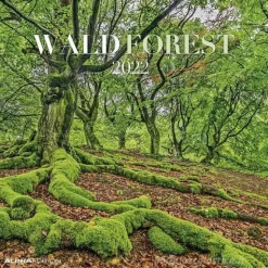 Calendario 2022 Forest 30x30