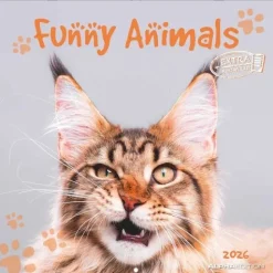 Calendario 2026 Funny Animals cm 30x30