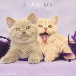 Calendario 2024 Funny Cats cm 30x30